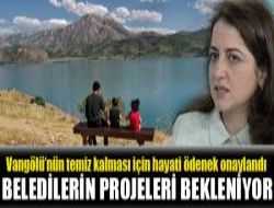 Van Gölü Havzası İçin Eylem Planları
